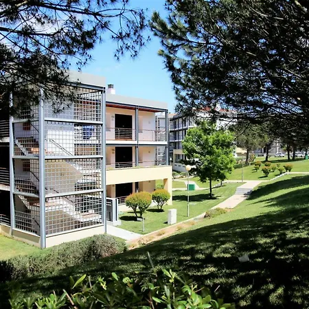 Marina Park Garden In *