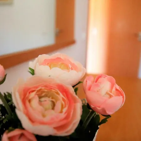 Marina Park Garden In 拉哥斯