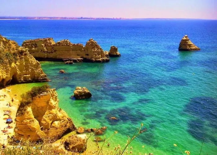 Marina Park Garden In Apartamento